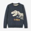 Vertbaudet Jungen Pullover