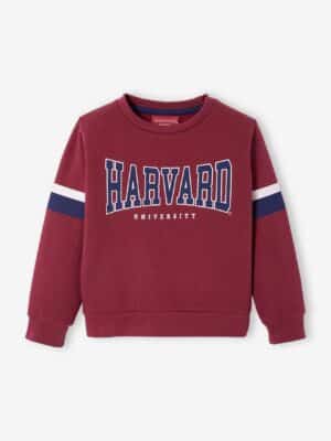 Harvard Jungen Sweatshirt HARVARD