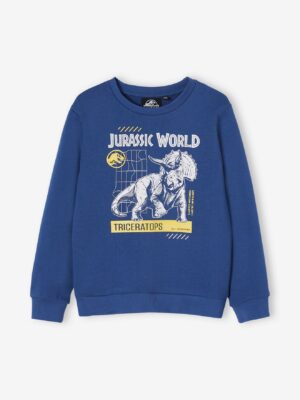 Jurassic World Jungen Sweatshirt JURASSIC WORLD