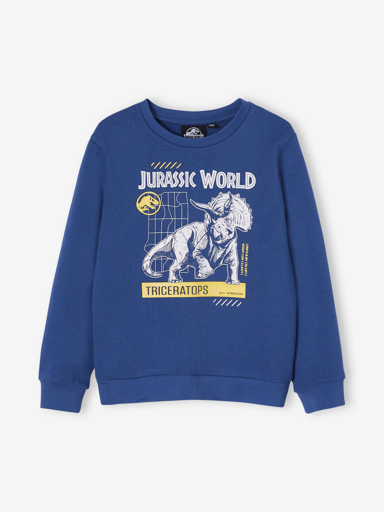 Jurassic World Jungen Sweatshirt JURASSIC WORLD