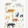 Lilipinso Kinderzimmer Poster „Living Earth“ Asien LILIPINSO