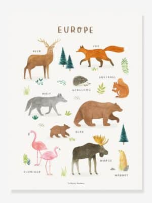 Lilipinso Kinderzimmer Poster „Living Earth“ Europa LILIPINSO